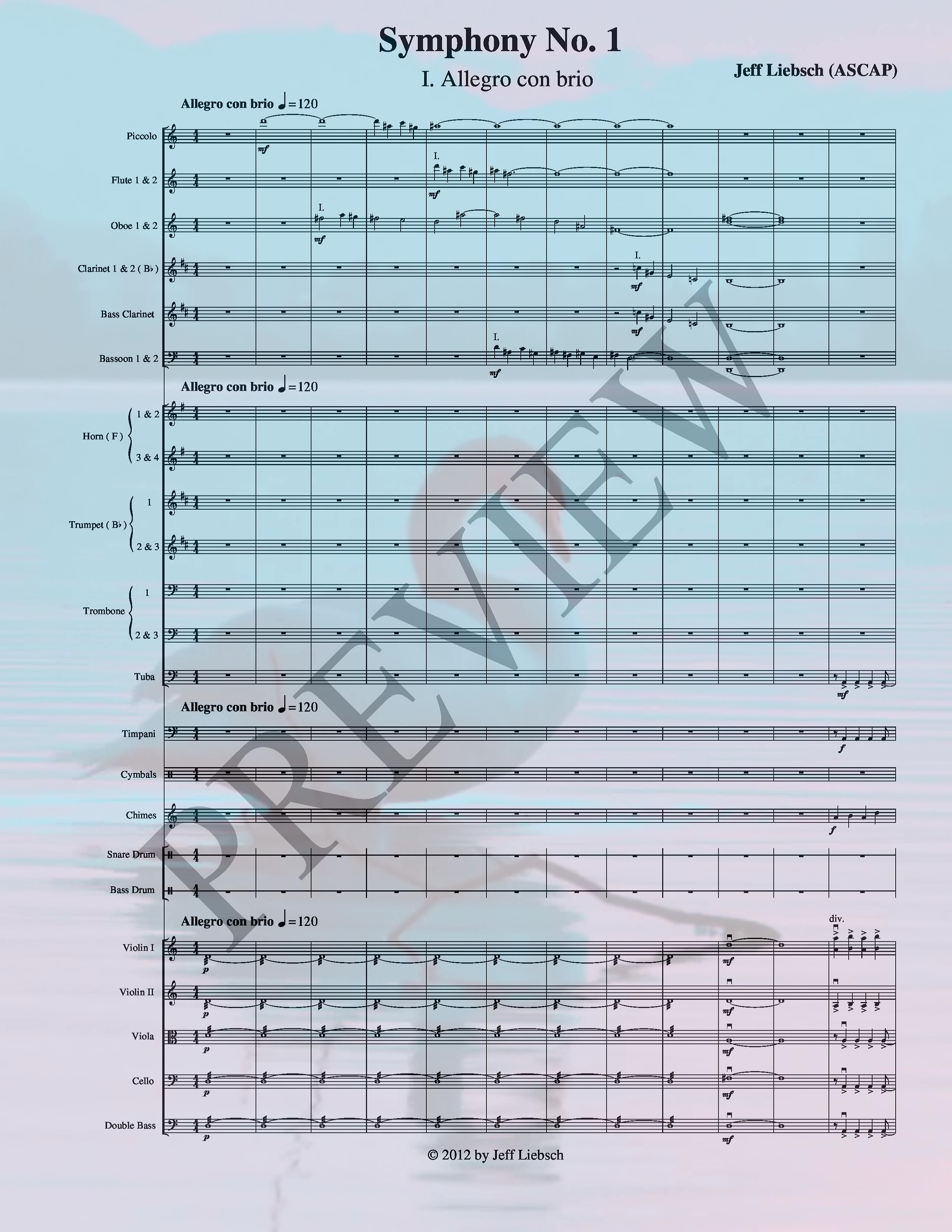 Symphony No. 1 (Full Orchestra)